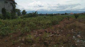 Gambar 4 Tanah Mainroad Wiradesa Pekalongan Cocok Untuk Berbagai Usaha