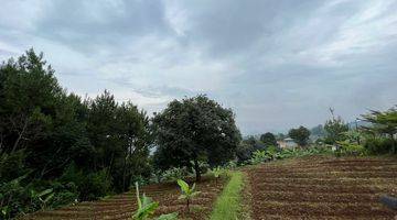 Gambar 4 Tanah kebun Bandung Utara udara sangat sejuk SHM