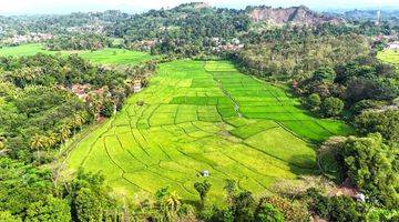 Gambar 1 Tanah Di Cianjur - Jawa Barat