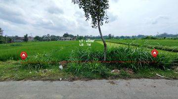 Gambar 2 Tanah Sawah