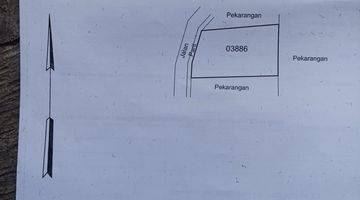 Gambar 4 Tanah Mangku Jalan Aspal Murah Dekat Jln yogya solo Hanya 30 Mtr