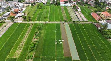 Gambar 1 Tanah Sawah