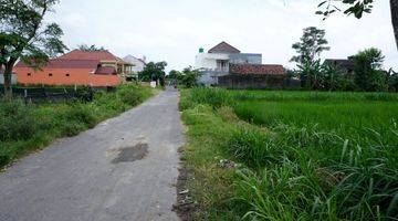 Gambar 3 Tanah Sawah