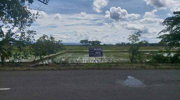 Gambar 4 Tanah Kering Siap Bangun Di Sukoharjo Solo