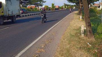 Gambar 4 Tanah 8000 Meter Di Brebes 