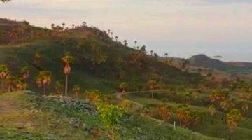 Gambar 2 Di Jual Tanah Bukit View Sunset Dan Sunrise di Labuan Bajo