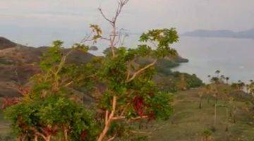 Gambar 3 Di Jual Tanah Bukit View Sunset Dan Sunrise di Labuan Bajo