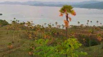 Gambar 5 Di Jual Tanah Bukit View Sunset Dan Sunrise di Labuan Bajo