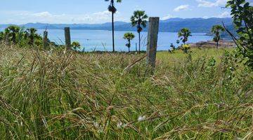 Gambar 1 Di Jual Tanah Bukit View Laut di Wae Cicu Labuan Bajo