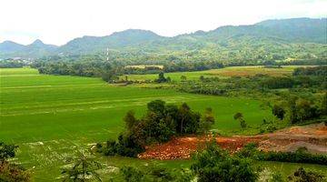 Gambar 2 Di Jual Bukit View Sawah Di Labuan Bajo