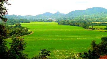 Gambar 1 Di Jual Bukit View Sawah Di Labuan Bajo