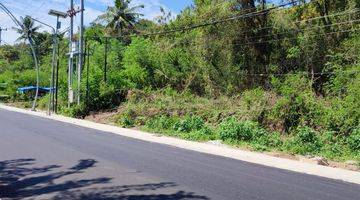 Gambar 1 Di Jual Tanah Bukit View Laut Di Binongko