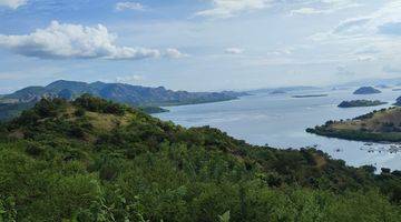 Gambar 3 di Jual Tanah View Laut di Warloka Lokasi Pate Jarak