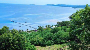 Gambar 1 Di Jual Tanah Bukit View Laut di Labuan Bajo