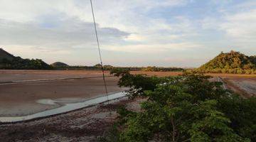 Gambar 4 Di Jual Tanah Tambak Ikan di Labuan Bajo