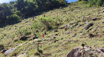 Gambar 5 Di Jual Tanah View Laut di Labuan Bajo Golo Mori