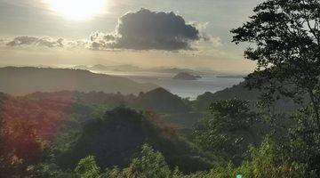 Gambar 4 Di Jual Tanah Bukit di Labuan Bajo View Laut