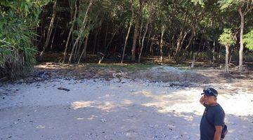 Gambar 3 DI JUAL TANAH LOS PANTAI DI NUCA MOLES 