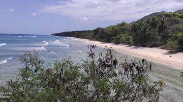 Gambar 2 DI JUAL TANAH LOS PANTAI DI PULAU MULES NTT INVESTASI 