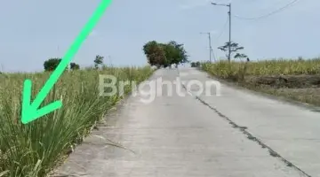 Gambar 1 Tanah Luas Daerah Gresik Kedamean 