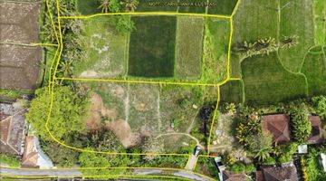 Gambar 1 Tanah View Sawah dan Sungai kecil dekat Ubud