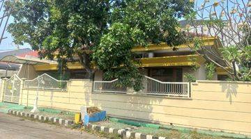 Gambar 1 Dijual Murah Rumah Besar Darmo Baru Barat Full Furnished Terawat