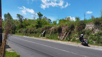 Gambar 1 Tanah Pinggir Jalan Utama Kintamani Full View Danau Dan Gunung