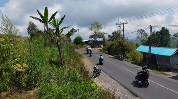 Gambar 4 Tanah Pinggir Jalan Utama Kintamani Full View Danau Dan Gunung