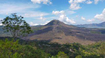 Gambar 5 Tanah Pinggir Jalan Utama Kintamani Full View Danau Dan Gunung