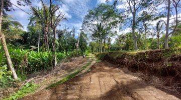 Gambar 5 DIJUAL TANAH DI UBUD BALI