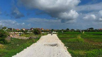 Gambar 4 Disewakan Tanah Jangka Panjang Di Seminyak BALI