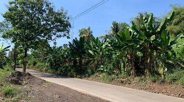 Gambar 5 Tanah Strategis Cibinong Hilir Cianjur,cocok untuk peternakan dan perumahaan akses jalan di beton