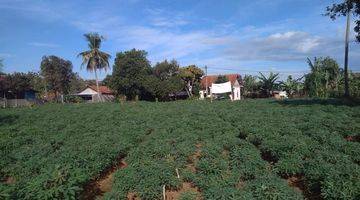 Gambar 4 Jual Tanah Kebun View Gunung Salak,3 Km Stasiun Cilebut