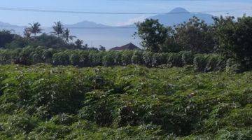 Gambar 3 Jual Tanah Kebun View Gunung Salak,3 Km Stasiun Cilebut