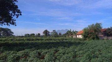 Gambar 2 Jual Tanah Kebun View Gunung Salak,3 Km Stasiun Cilebut