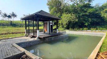 Gambar 1 Jual Kolam Ikan di Bogor SHM Bonus 10000 Bibit Lele + Gazebo