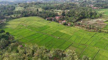 Gambar 1 Tanah Luas Cianjur Buat Investor 