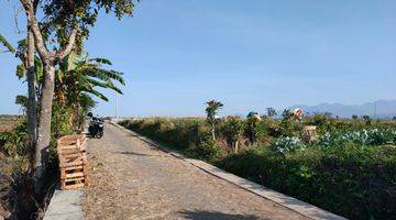 Gambar 3 Tanah Sawah Luas Subur View Bagus Menawan di Kota Batu