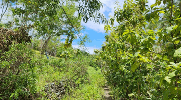 Gambar 5 Dijual Tanah Siap Bangun Desa Suana Nusa Penida, Bali