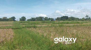 Gambar 1 Tanah Kavling View Sawah Raya Pantai Kedungu Belalang Kediri Tabanan, Bali