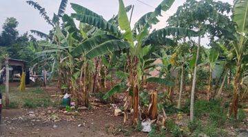 Gambar 1 Tanah Tembalang Bulusan Dekat Kampus Undip Tembalang 