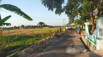 Gambar 1 Pekarangan Hadap Timur Tegalgede Karanganyar