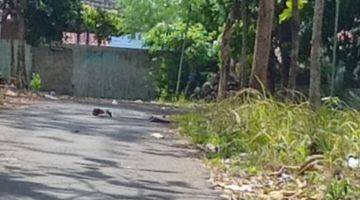 Gambar 2 Pekarangan 2 Muka Jalan Mojogedang 180 Juta