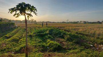 Gambar 3 Pekarangan Hadap Timur Tegalgede Karanganyar