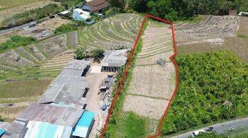 Gambar 5 Dijual Tanah Jalan Utama Kaba Kaba Tabanan 