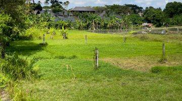 Gambar 3  Dijual Premium Property, Tanah Kecil 3Are Canggu