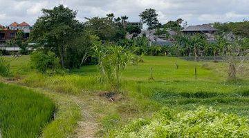 Gambar 1  Dijual Premium Property, Tanah Kecil 3Are Canggu