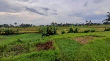 Gambar 5 R08071 Tanah Di Nyanyi Dengan View Sawah Dan Lokasi Yg Berkembang Saat Ini