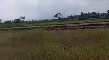 Gambar 1 R08142 Land For Sale Freehold Pink Zone At Kelating Tabanan 800 M From Beach