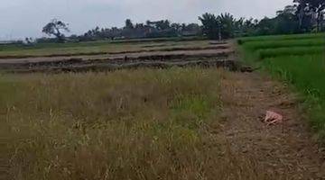 Gambar 4 R08142 Land For Sale Freehold Pink Zone At Kelating Tabanan 800 M From Beach